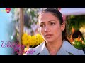 The Wedding Planner Mary Runs Into Her Ex Love Love The Wedding Planner Mary Runs Into Her Ex Love Love