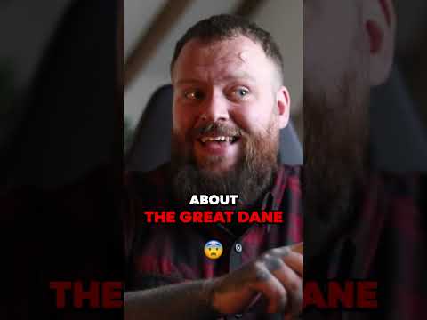Videó: Hogyan taníthatod meg a Dane-t, hogy hagyd abba az embereket
