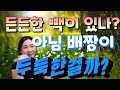 097. 왜 잘해주지? 나에 대해 뭘 잘못 안걸까?