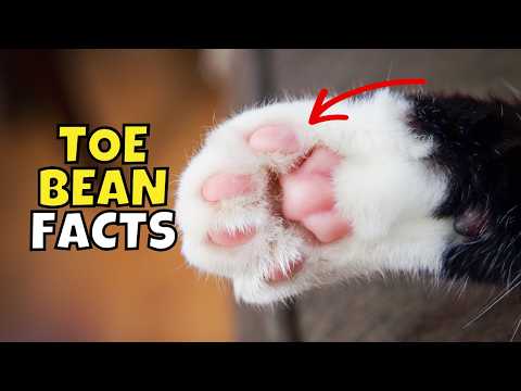 10 Surprising Secrets