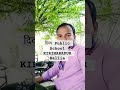 दिव्य  Public School KIRIHARAPUR # viral short video 👍👍👍