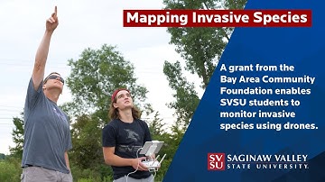 Monitoring and Mapping Invasive Species