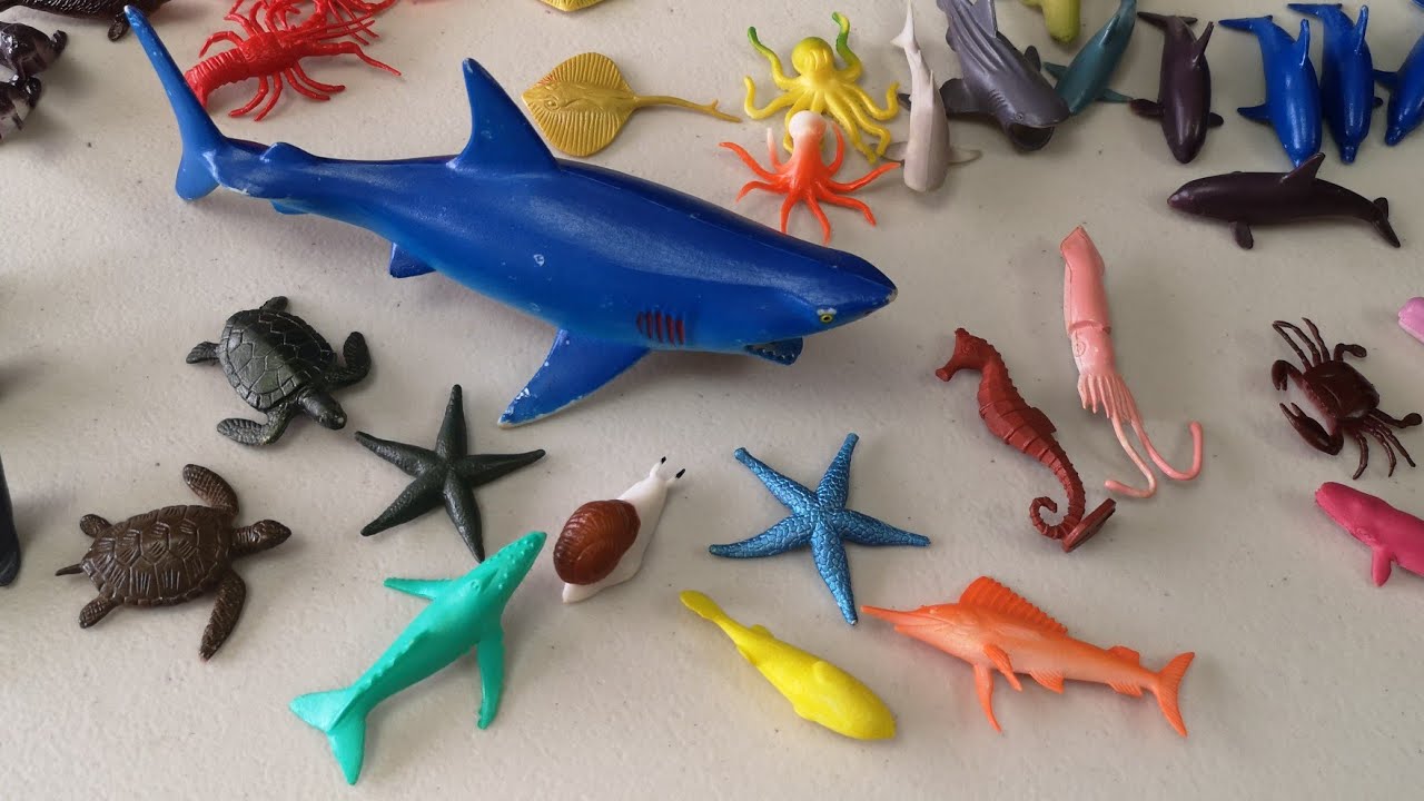 Small Sea Animals Collection Unboxing miniature Ocean Animals Toys