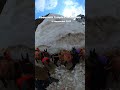 Kedarnath temple closing date 2023#kedarnath #vaishnodevi #amarnath #mahadev #manimahesh #bholenath