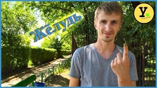 Как свистеть шляпкой от жёлудя. Как свистеть шляпкой от жёлудя.