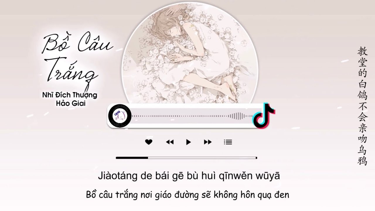 Video YouTube