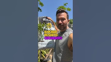 1st of MANY biochar experiments done and here are the results. This first one is with cucumbers.