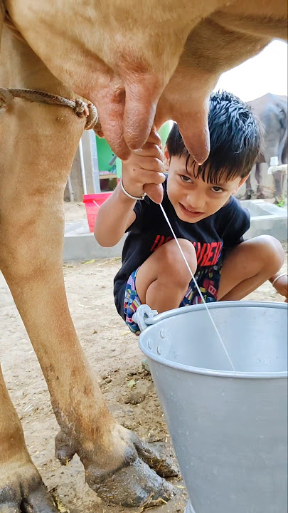 small girl yy rt t Yr t hh #love #song #elove