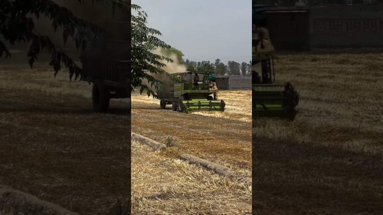 self straw reaper 