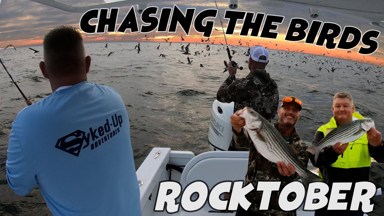 JIGGING FOR ROCKFISH ROCKTOBER ON THE CHESAPEAKE BAY YouTube