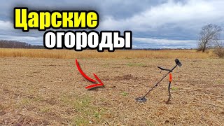 Долгожданные огороды. Коп с MD Nokta Makro Simplex plus