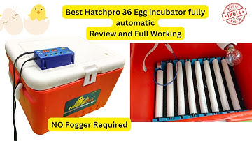 Latest 36 Egg Automatic Egg Incubator 2025 | Review and working | Chicken eggs , Desi Eggs hatching