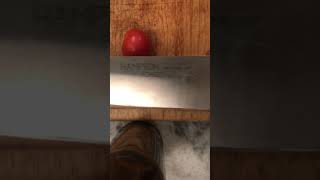 Shun vs. Hampton Forge x Shapton Ceramic Whetstones screenshot 5