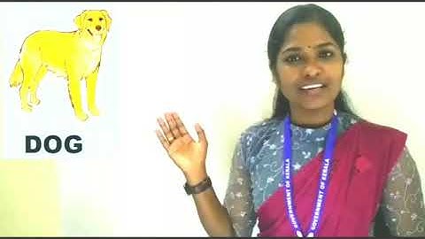 Std 3 English Unit 1 Class 02 White Board lD