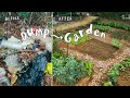 Dump to veggie garden🌱🍄 | Korea vlog 2020