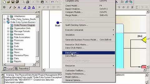 Linking a CDM (Conceptual Data Model) to a BPM (Business Process Model) in PowerDesigner