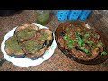 طريقه قلي الباذنجان من غير ما يشرب زيت والقطنه مبتكدبش وهنعملو احلي تتبيله او دقه هتخليه طعمو يجنن 