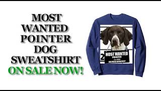 Most Wanted Pointer Cute Funny Dog Sweatshirts - Men's, Women's, Kid's - Navy, Grey, Dark Heather