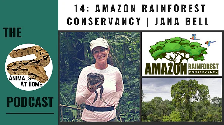 Starting a Rainforest Conservancy From Scratch | J...