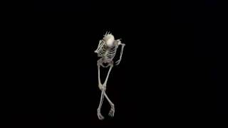 Fx Guru Dancing Skeleton inversé + origine