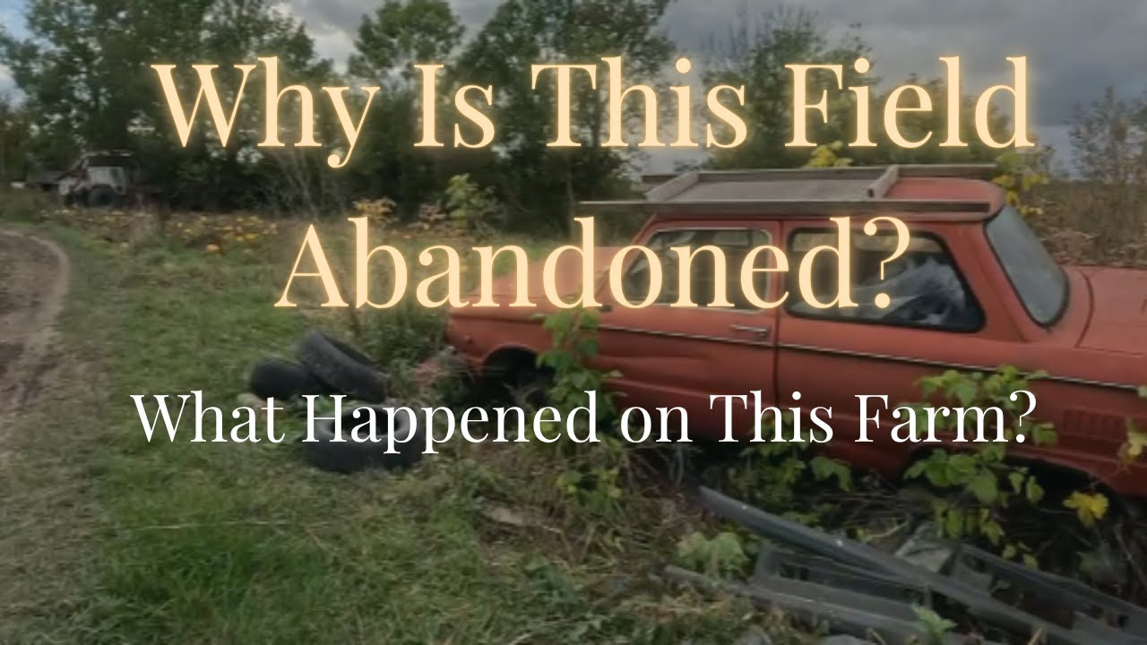 Pumpkin Farm in Ukraine | Halloween Preparations or Something Haunted? 🎃