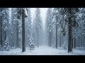 Dark Ambient Guitar • Lost in the Snowy Forest