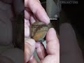 WOW!! Checkout what's inside!