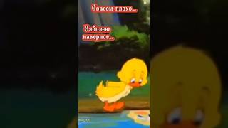 #приколы #смешные #смешныевидео #приколысживотными #прикол #смешныевидеосживотными