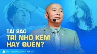 Tại sao Trí Nhớ Kém - Hay quên ? Và cách giải quyết