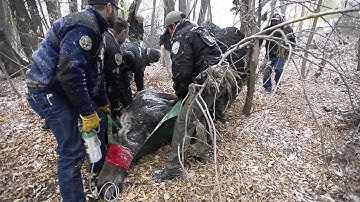 Moose Tranquilized near 30th and Arapahoe