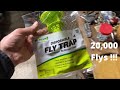 Rescue Fly Trap - THE BEST !!!