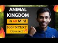 Animal kingdom in 40 min  fast revision one shot ncert line to line  class 11  neet