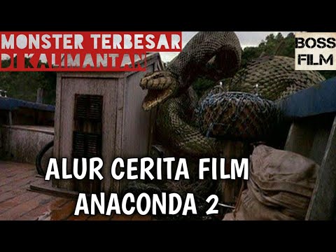 Alur Cerita Film Anaconda 2 Ular Raksasa Di Kalimantan Youtube