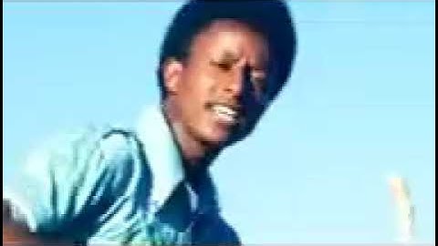 by werede daniel wedi dani   arkey eritrean music