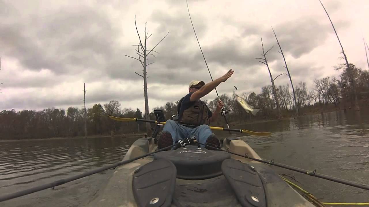 Little Maumelle bass Fishing Thanksgiving 2015 YouTube