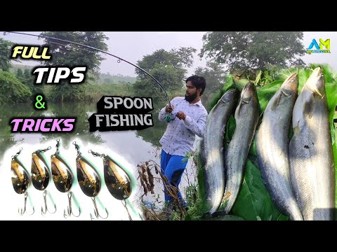 वीडियो: क्या आप बास के लिए मछली मार सकते हैं?
