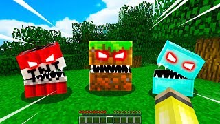 Ismetrg Yaşayan Bloklari Buldu - Minecraft