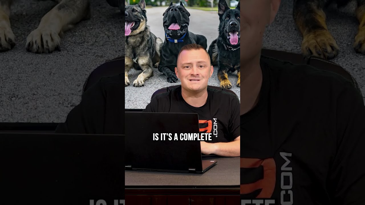 Top 3 XL Dog Breeds We DON T Recommend