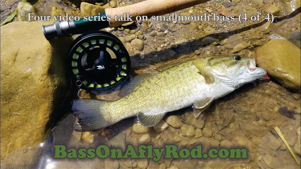 Fly Fishing for Smallmouth Bass Lines and Rods (part 4 of 4) YouTube