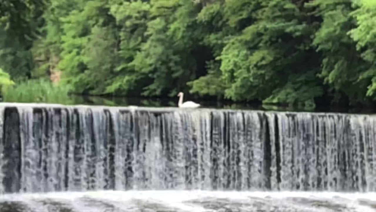 Waterfall River Almond Edinburgh YouTube