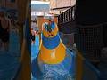 Coralreef Kids Water Park Kidsfun Playtime Waterpark Coralreef Kids Water Park Kidsfun Playtime Waterpark