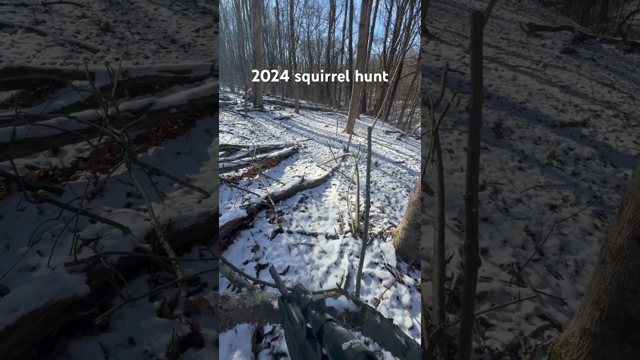 2024 air rifle squirrel hunt