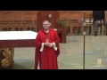 Palm Sunday Homily at the Cathedral, Bishop Robert Barron (3/20/2016)
