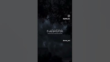 ياسر الدوسري🌿🤍من /سورة الزخرف #قرآن #قران_كريم #راحة_نفسية #ياسر_الدوسري #سورة_الزخرف #تلاوات#quran