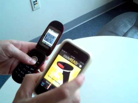 Rapid Barcode Scanning and Validation with codeREADr