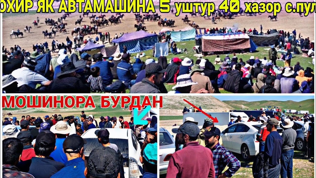 ОХИР ЯК АВТАМАШИНА 5 УШТУР 5 АСП 5 ГОВ 40 ХАЗОР С. ПУЛ  бузкаши дангара 22.03.2023 БАХТОВАР ЧОВАНДОЗ