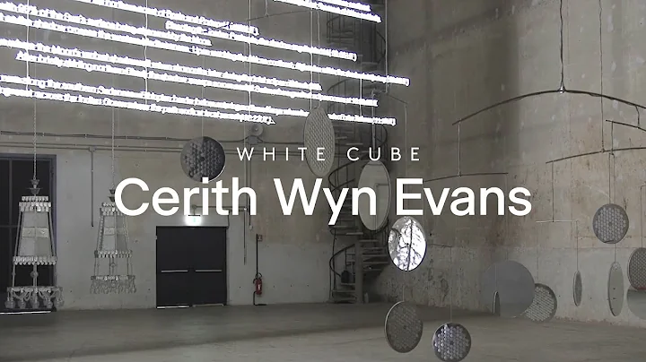 Beyond White Cube: Roberta Tenconi on Cerith Wyn E...