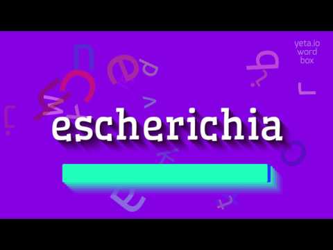 ቪዲዮ: የኢሼሪሺያ ኮሊ ባክቴሪያ (ኢ. ኮሊ፣ ኮሊ) ምንድን ነው፣ የመመረዝ ምልክቶች፣ የኢንፌክሽን ውጤቶች