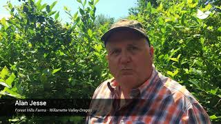 Testimonial: Autonomic laser effectively disperses starlings and keeps crops safe