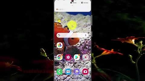 Samsung Galaxy S20 : How to enable or disable High contrast fonts (Android 10)